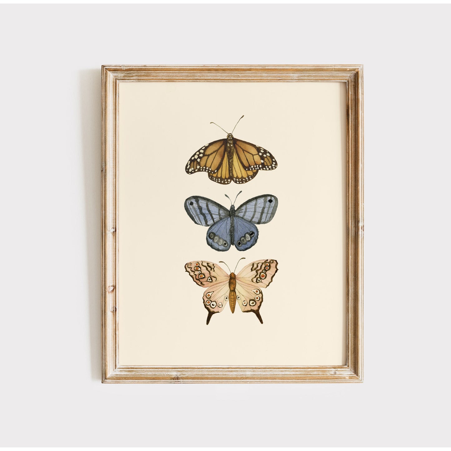 Watercolor Butterfly Illustrations Wall Art Print