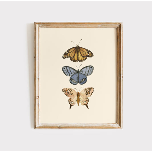 Watercolor Butterfly Illustrations Wall Art Print