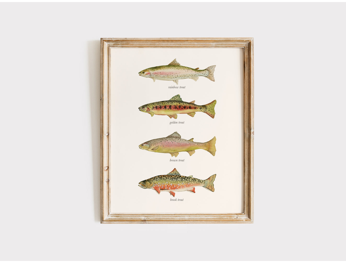 Watercolor Trout Wall Art Print