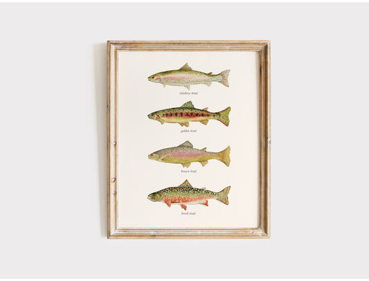 Watercolor Trout Wall Art Print