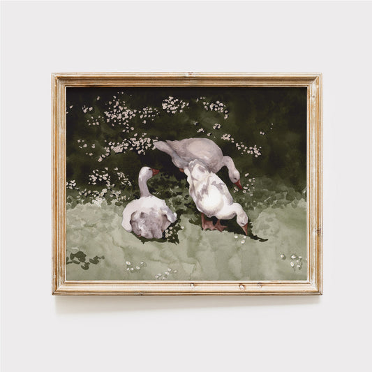 White Ducks Landscape Watercolor Art Print